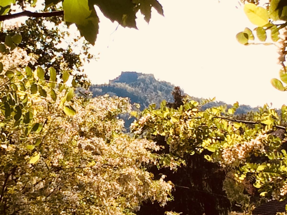 Tana Dell'Elfo B&B Gavi Bagian luar foto