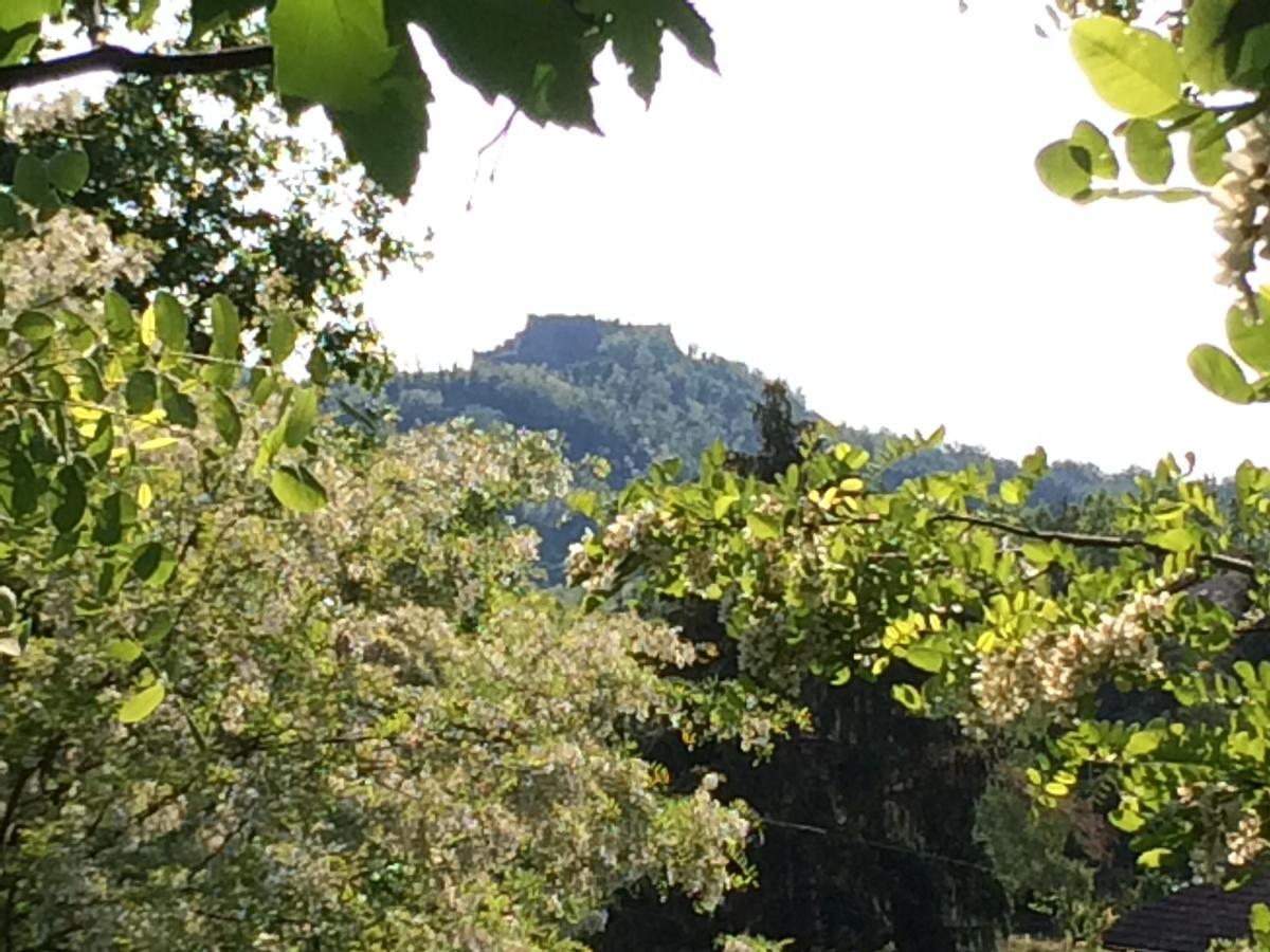 Tana Dell'Elfo B&B Gavi Bagian luar foto